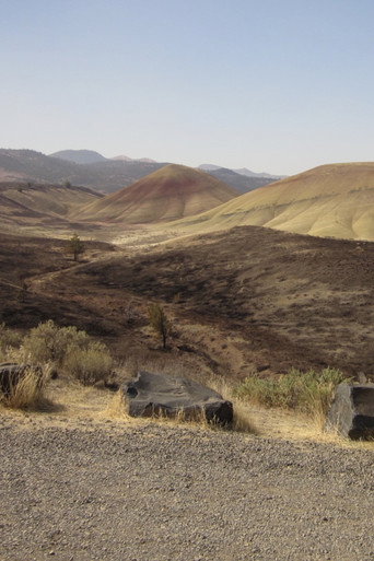 Layers of Life: Stories of Ancient Oregon