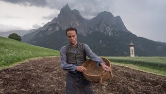 Galeria 5 - Vida oculta