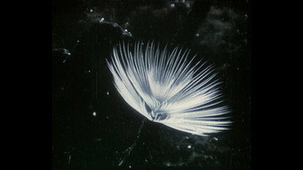Herbaria (2022)