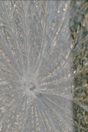 세상은 그렇게 끝난다.