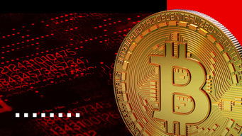 9 Crypto Craze Moments