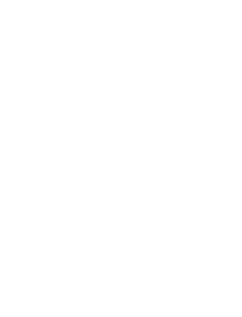 The Long Rider logo