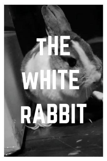 The White Rabbit poster