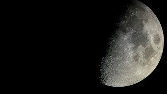 Man and the Moon (2019)