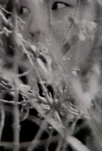 Visible Cinema (2013)