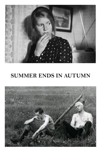 Poster of Summer Ends in Autumn
