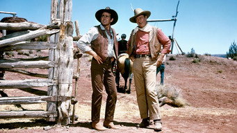 #18 The Comancheros