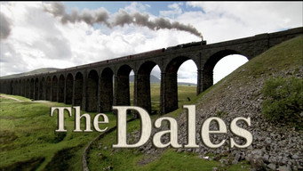 The Dales (2011-2013)