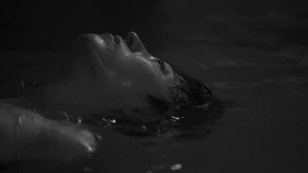 Flow (2026)