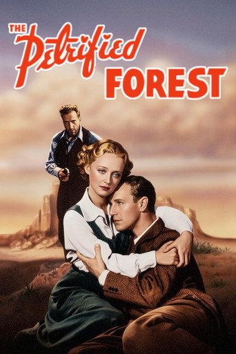 The Petrified Forest