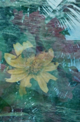 Radiant Forms poster