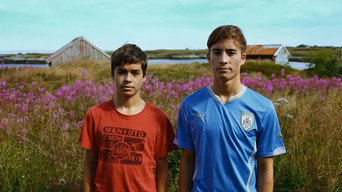 Brothers (2015)