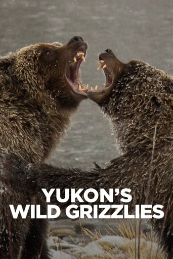 Poster för Yukon's Wild Grizzlies