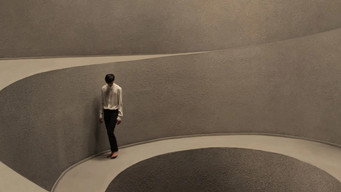 Philomirrophobia II (2013)