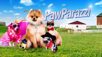 PawParazzi media image
