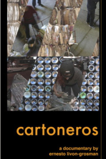 Cartoneros (2006)