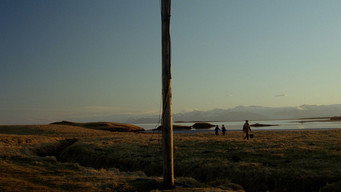 Nest media image