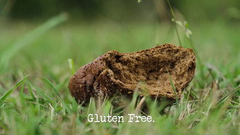 Gluten Free