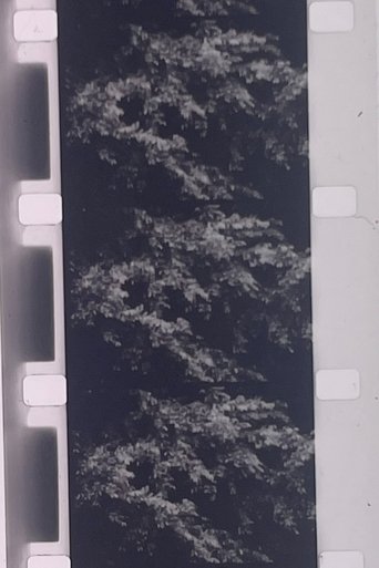 Plotting the Grey Scale: 2 or 3 Quick Traverses