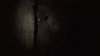 #24 Париж. Місто мертвих