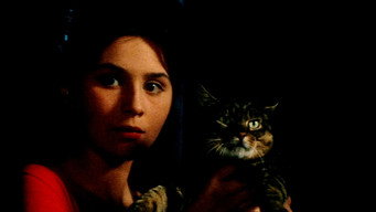 #7 When the Cat Comes
