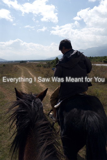 Poster film Everything I Saw Was Meant for You