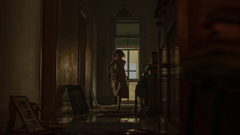 Run Rabbit Run backdrop 8