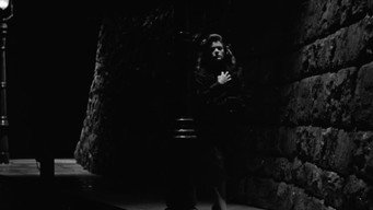 #8 Cat People
