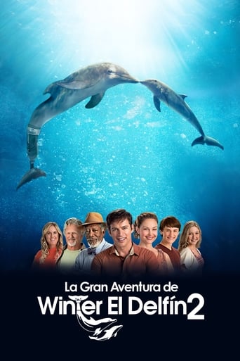 Poster of La gran aventura de Winter el delfín 2
