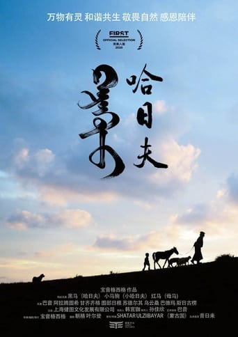 Poster of 哈日夫