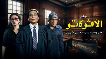 #11 The Lawyer