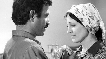 The Bay of Happiness (1977)