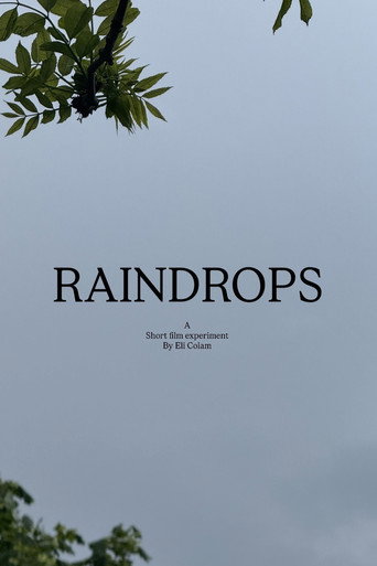 raindrops galeri 2