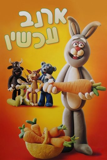 ארנב עכשיו