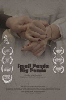 Small Panda Big Panda poster