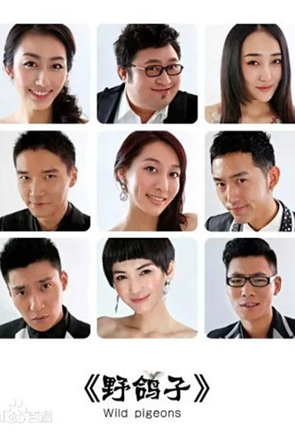 野鸽子 poster