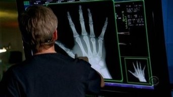 Cena de Vinhos e Baratas