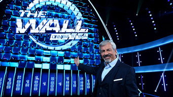 The Wall (2017- )
