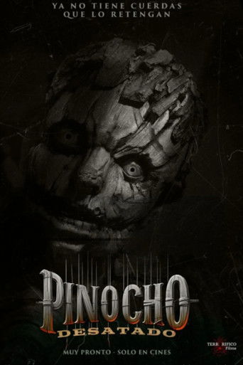 Pinocho esta Desquiciado poster