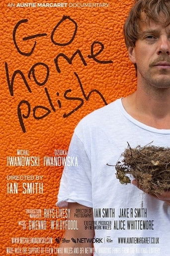 Go Home Polish poster
