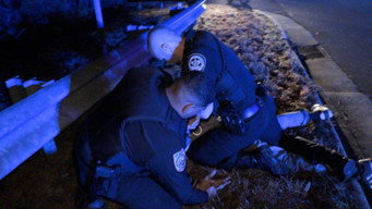 Multi Department Pursuit