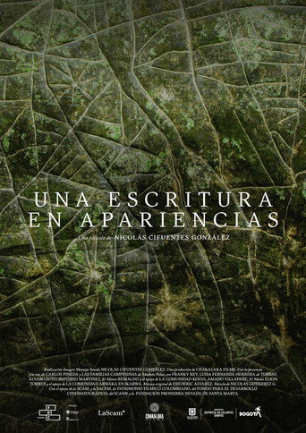 Cartell de Una Escritura En Apariencias