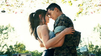 Purple Hearts backdrop 7