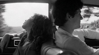 Чужа земля (1996)