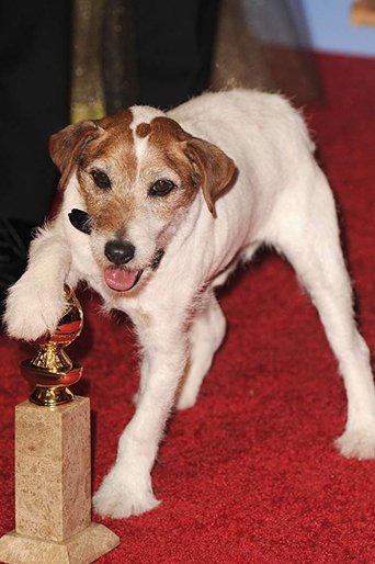 Imagen de Uggie