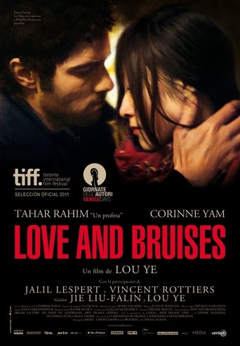 Poster of Love and Bruises