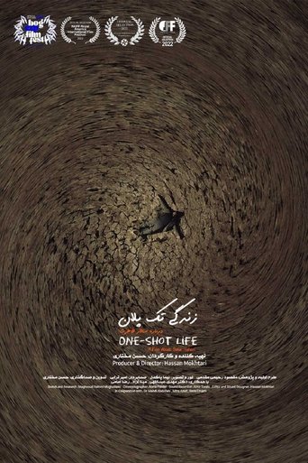 One-Shot Life poster