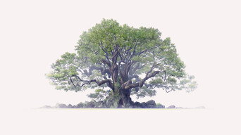 The Keeper of the Camphor Tree (2026)