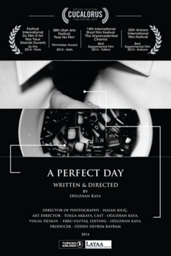 A Perfect Day (2014)