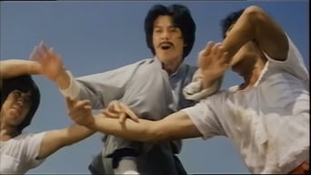 龍虎旋風 (1981)